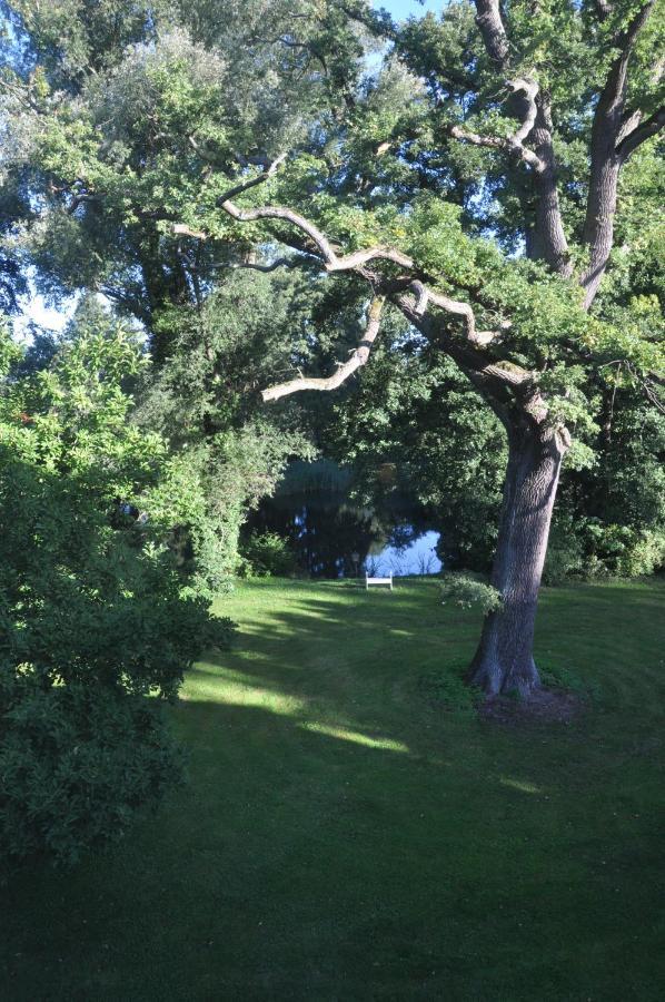 Gartenzimmer Im Schloss Neuhausen Neuhausen  ภายนอก รูปภาพ