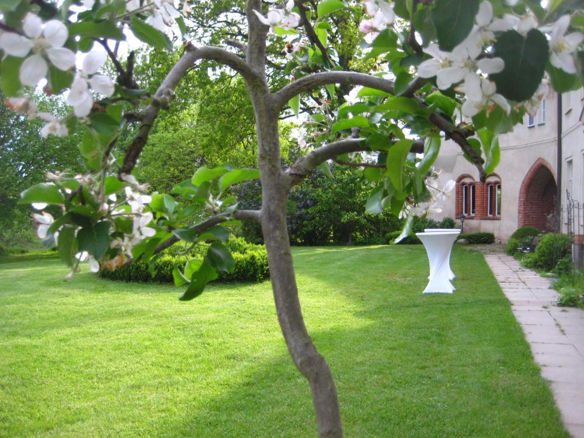 Gartenzimmer Im Schloss Neuhausen Neuhausen  ภายนอก รูปภาพ