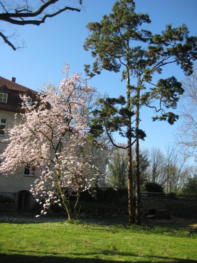 Gartenzimmer Im Schloss Neuhausen Neuhausen  ภายนอก รูปภาพ
