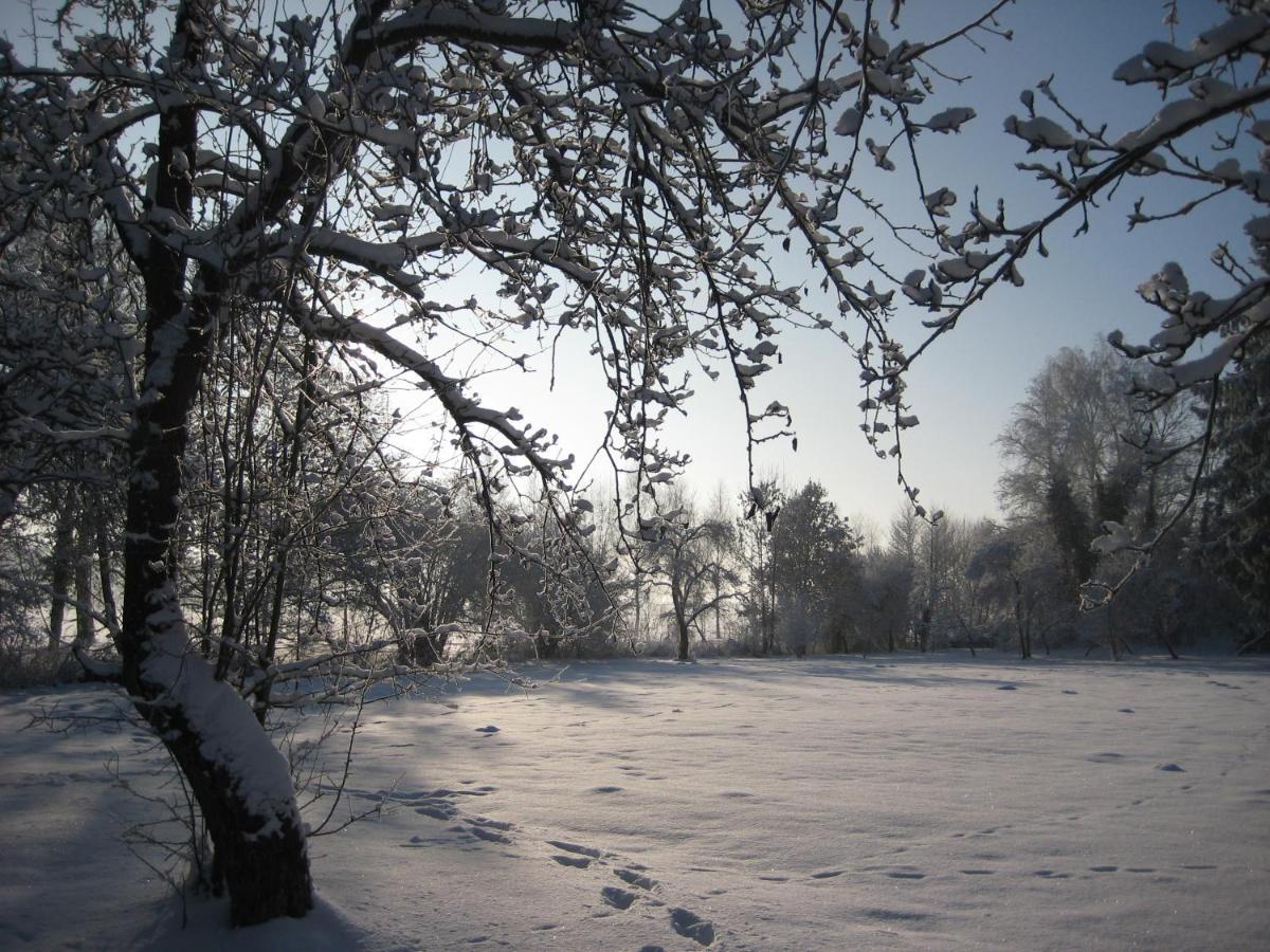 Gartenzimmer Im Schloss Neuhausen Neuhausen  ภายนอก รูปภาพ